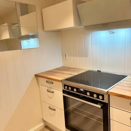 Newly Renovated Modern 4-room - Centrally Located! Appartement